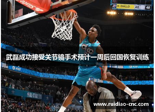 武磊成功接受关节镜手术预计一周后回国恢复训练 武磊成功接受关节镜手术预计一周后回国恢复训练