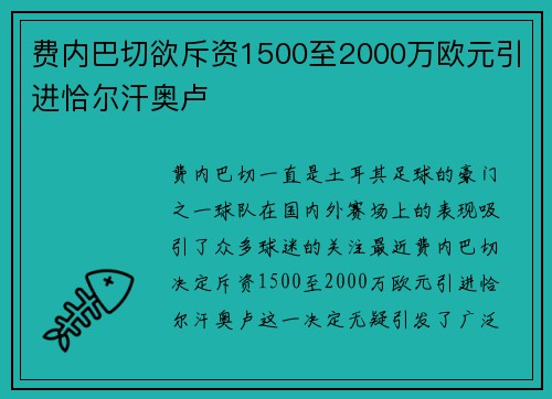 费内巴切欲斥资1500至2000万欧元引进恰尔汗奥卢