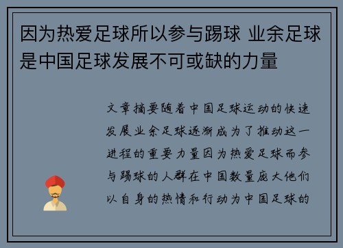 因为热爱足球所以参与踢球 业余足球是中国足球发展不可或缺的力量 因为热爱足球所以参与踢球 业余足球是中国足球发展不可或缺的力量